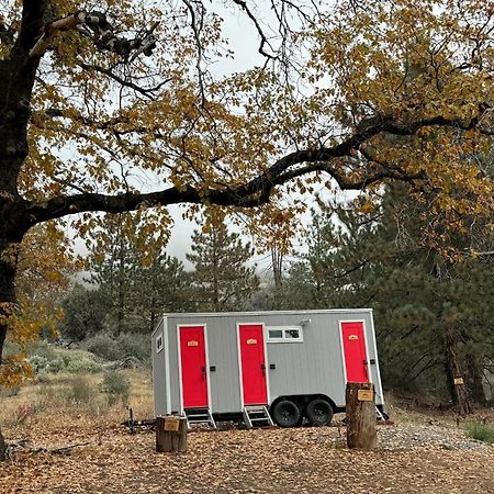 Enchanted Forest Dome ,10-15 Minutes To Kings Canyons-New Pellet Stove For Cozy Warm Nights Dunlap Экстерьер фото